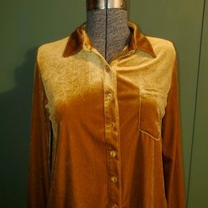 Leche Velvet Golden Button Up
